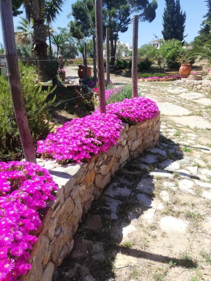 Monte Viana Villa ฟูเซตา ภายนอก รูปภาพ
