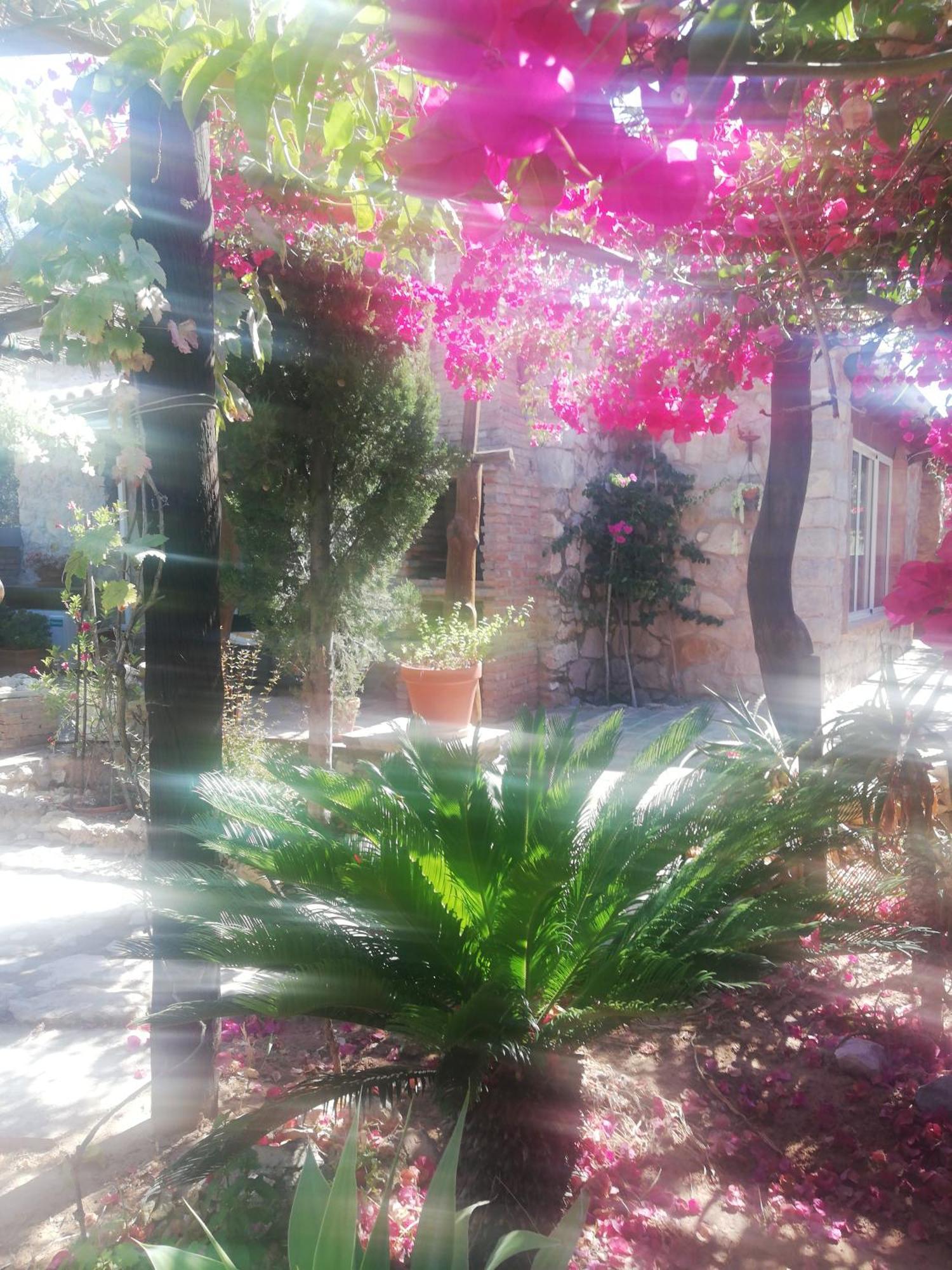 Monte Viana Villa ฟูเซตา ภายนอก รูปภาพ